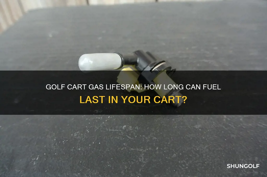 how long can gas be in a golf cart