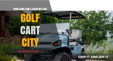 How Long Can You Safely Leave Your Gas Golf Cart Idle?