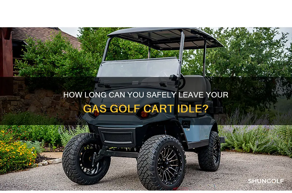 how long can i leave my gas golf cart city