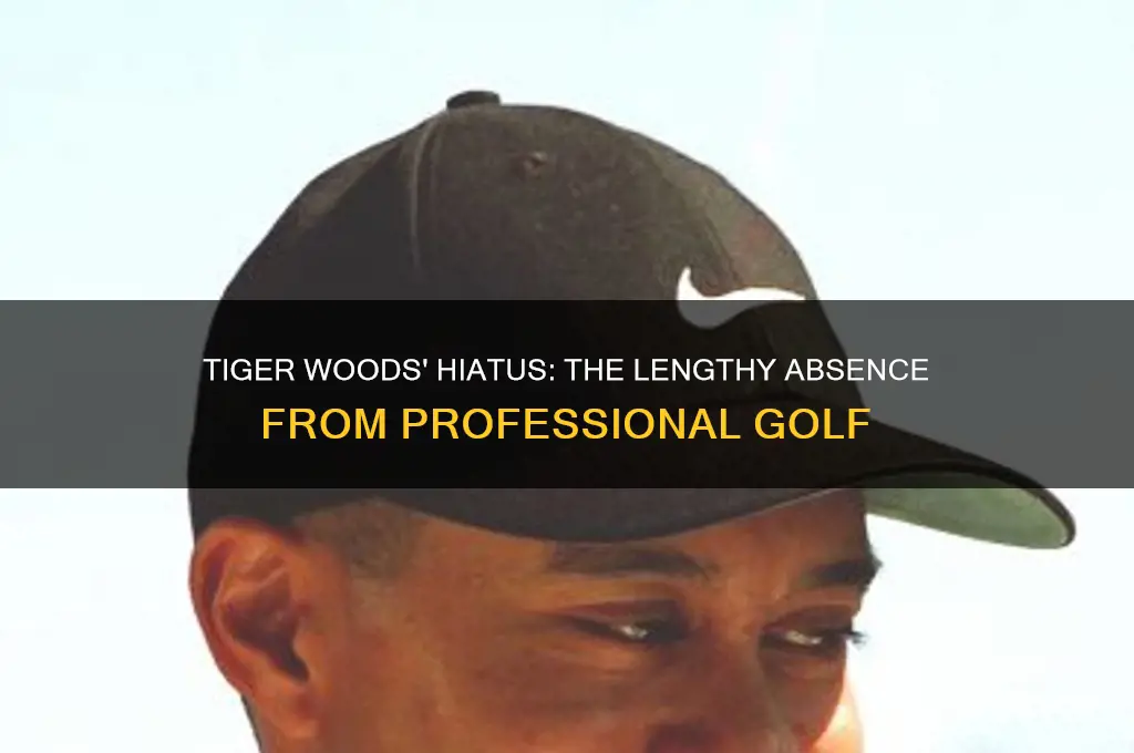how long did tiger woods not play golf