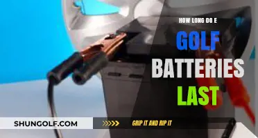 E-Golf Battery Lifespan: Understanding Longevity and Replacement Needs