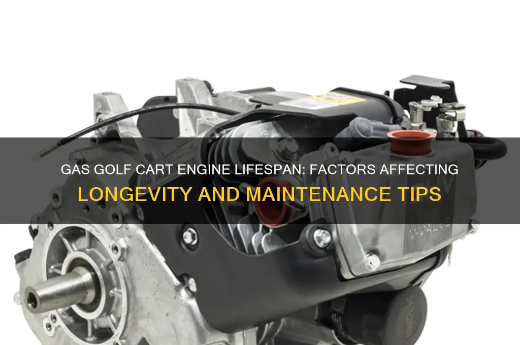 how long do gas golf cart engines last