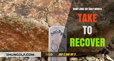 Golf Divot Recovery Time: Factors Affecting Healing and Repair Process
