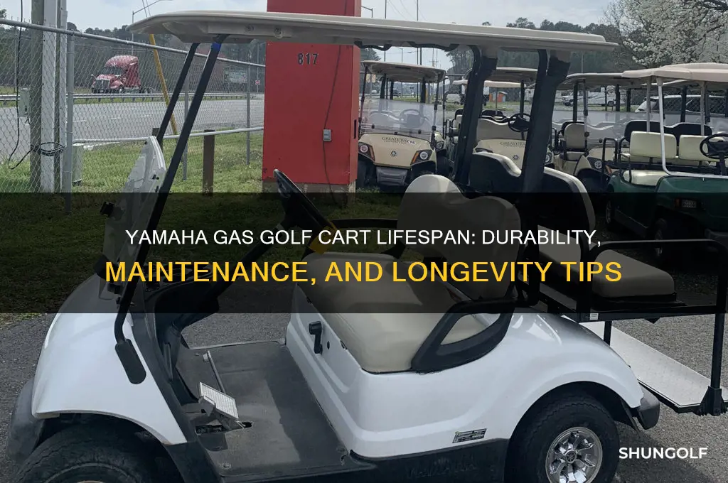 how long do yamaha gas golf carts last