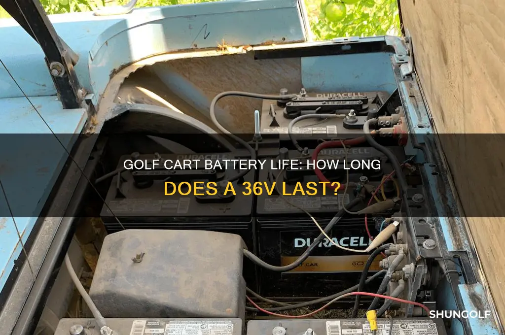 how long does 36v golf cart last