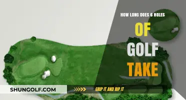 Quick Golf Rounds: Time Estimate for Playing 6 Holes