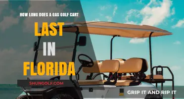 Gas Golf Cart Lifespan in Florida: Factors and Durability Explained
