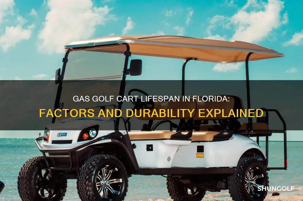 how long does a gas golf cart last in florida