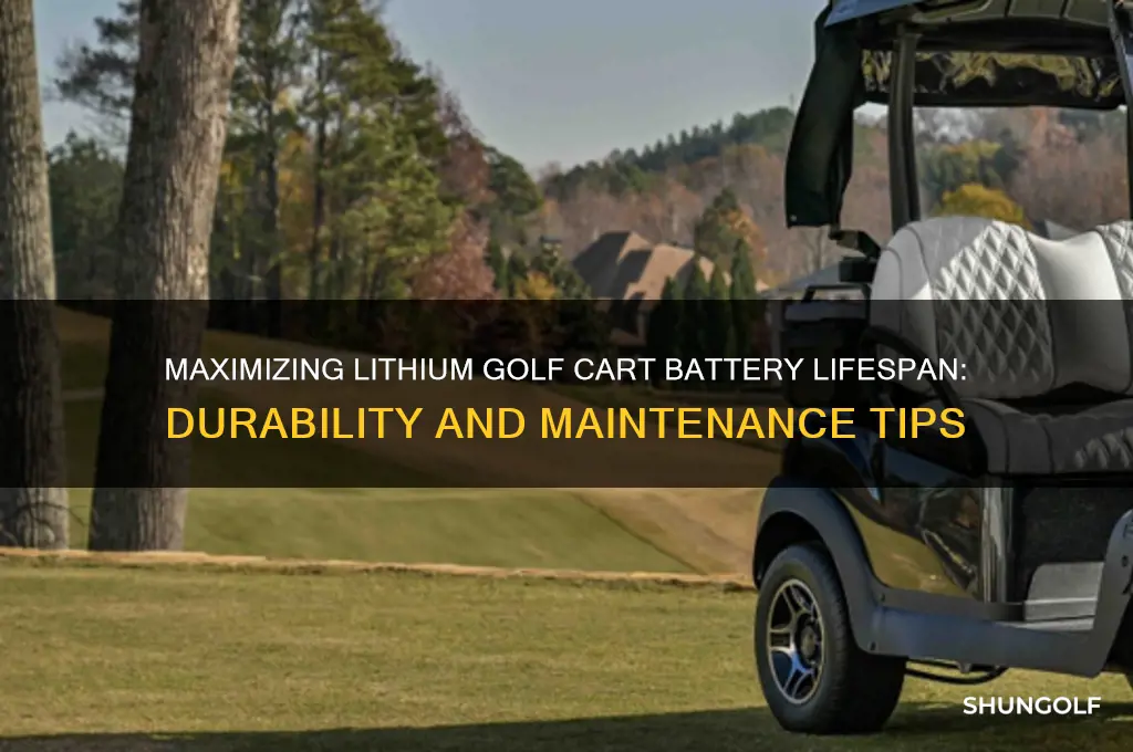 how long does a lithium golf cart battery last