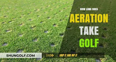 Aeration Maintenance: How Long Before Back on the Green?
