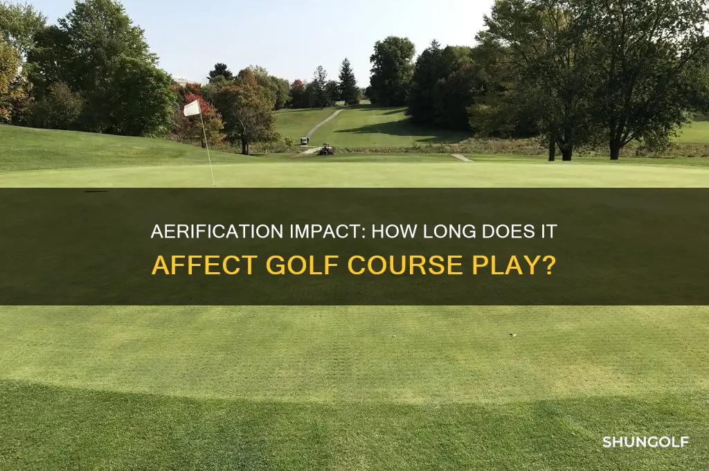 how long does aerification affect golf course
