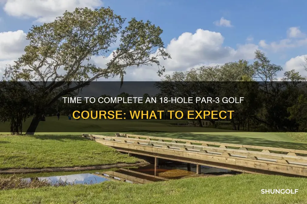 how long does it take 18 hole par3 golf course
