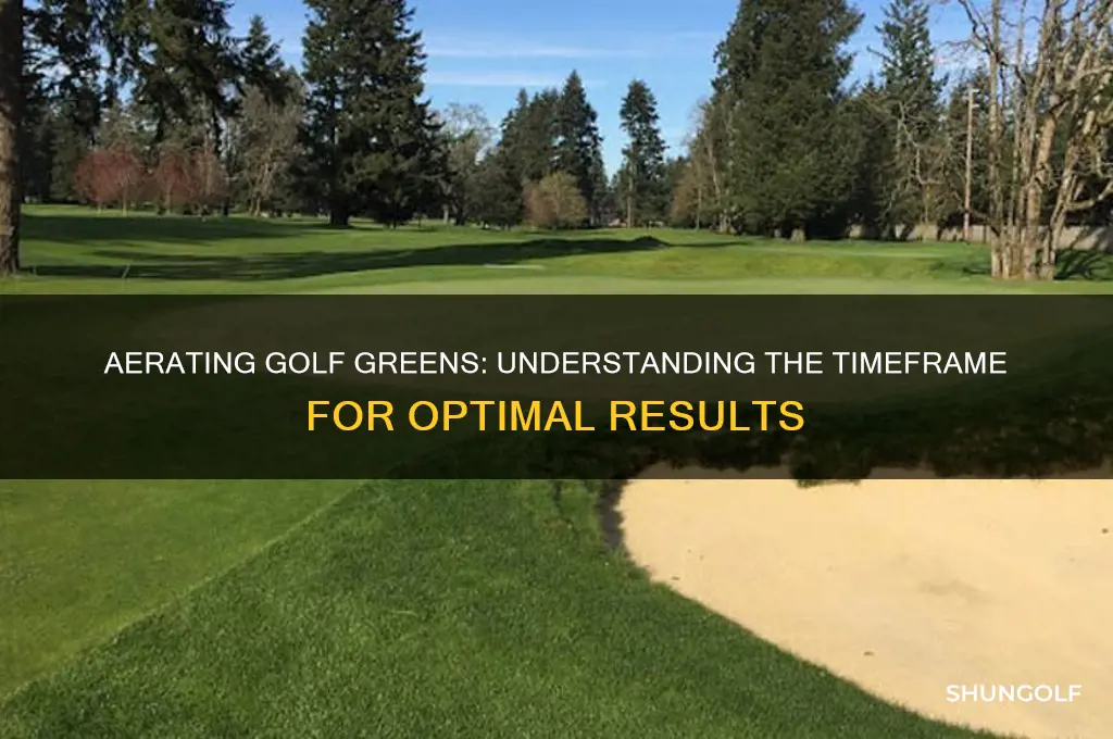 how long does it take to aerate golf greens