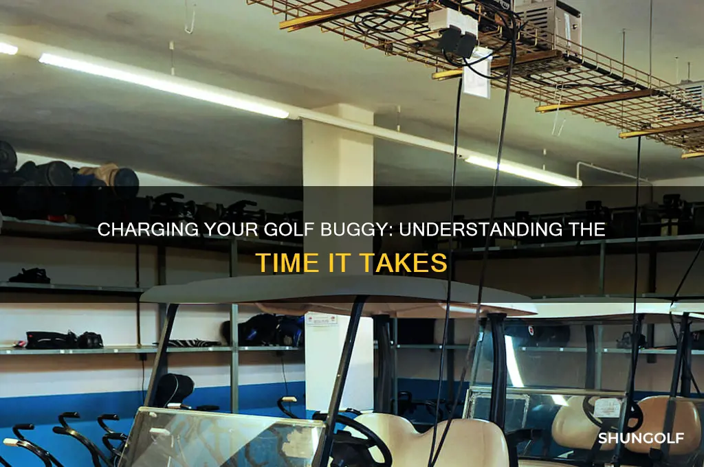 how long does it take to charge a golf buggy