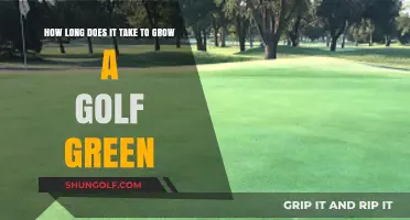Growing a Golf Green: Timeline and Key Factors Explained