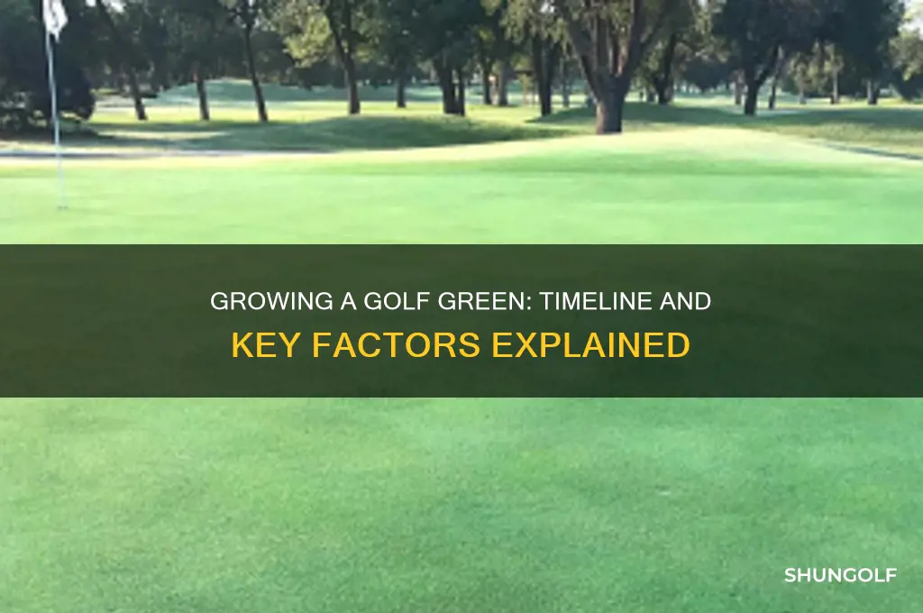 how long does it take to grow a golf green
