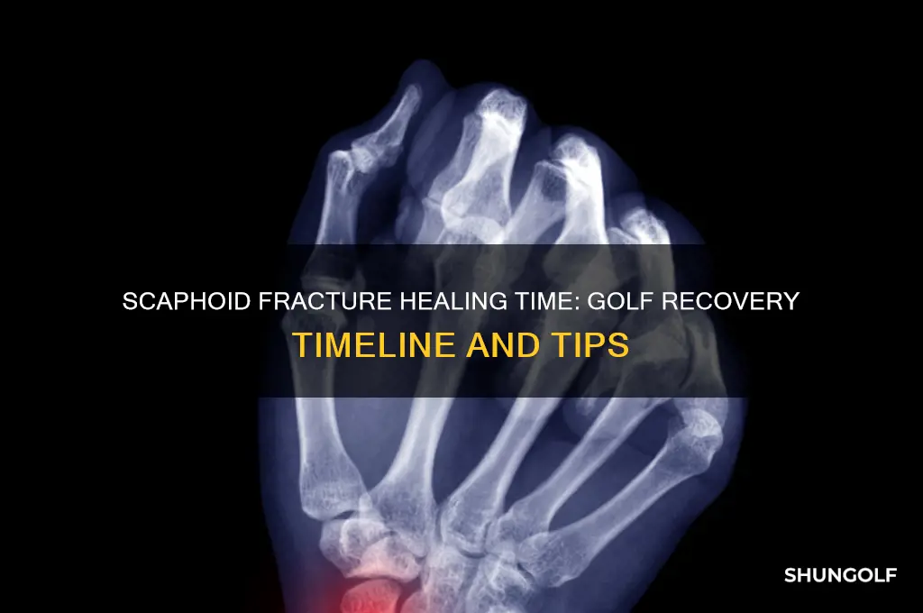 how long for a scaphoid fracture to heal golf