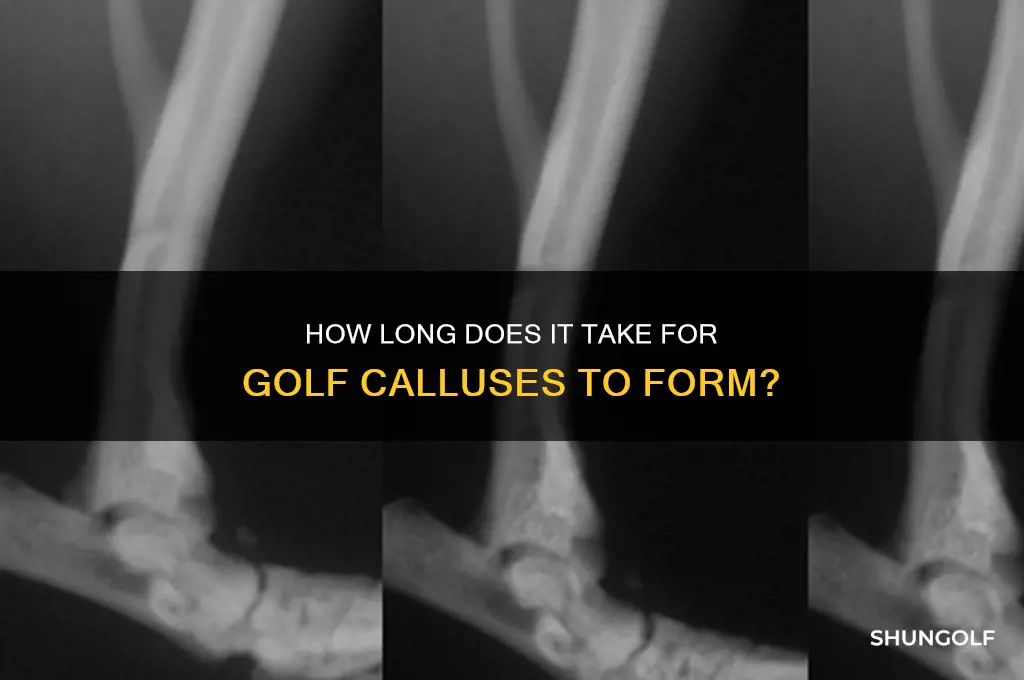 how long for callous to form golf