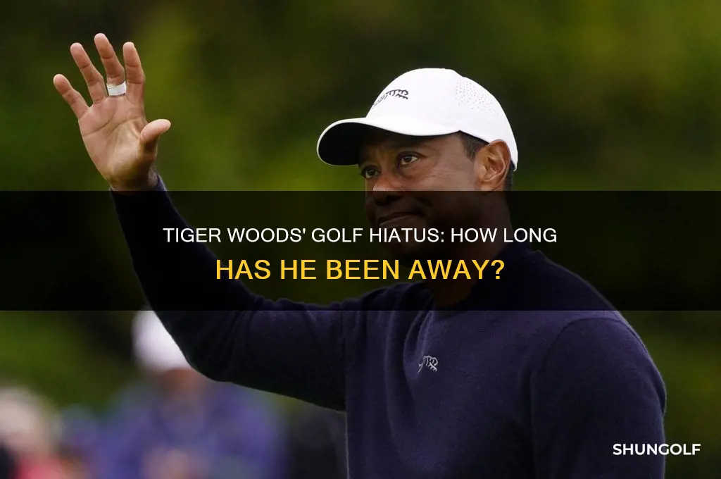 how long has tiger been out of golf