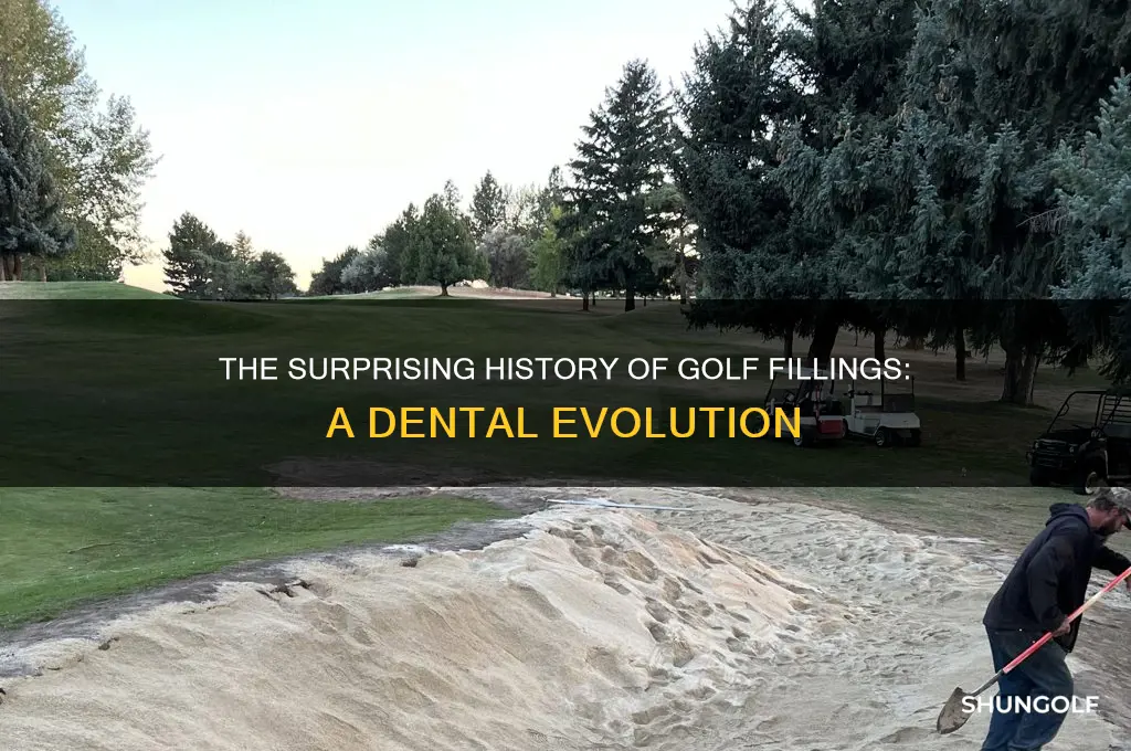 how long have we had golf fillings