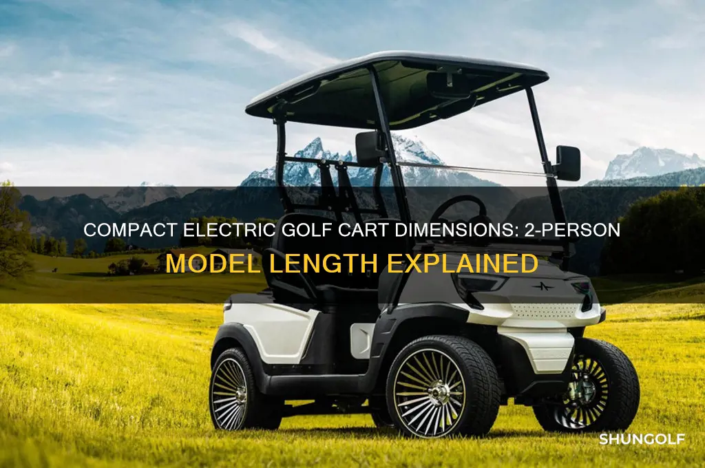 how long is a 2 person electric golf cart
