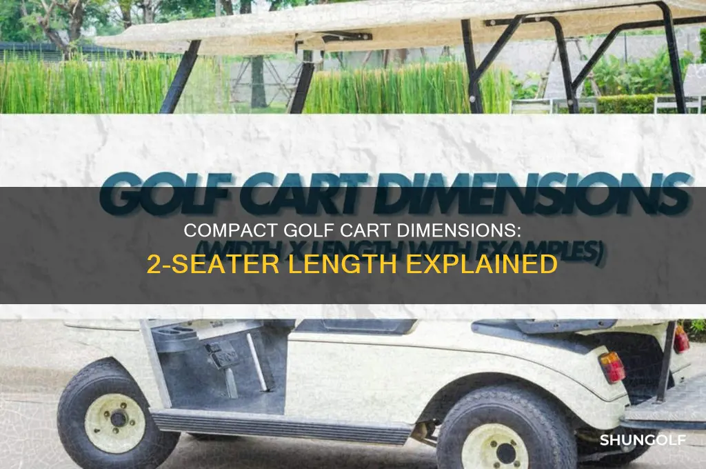 how long is a 2 seater golf cart