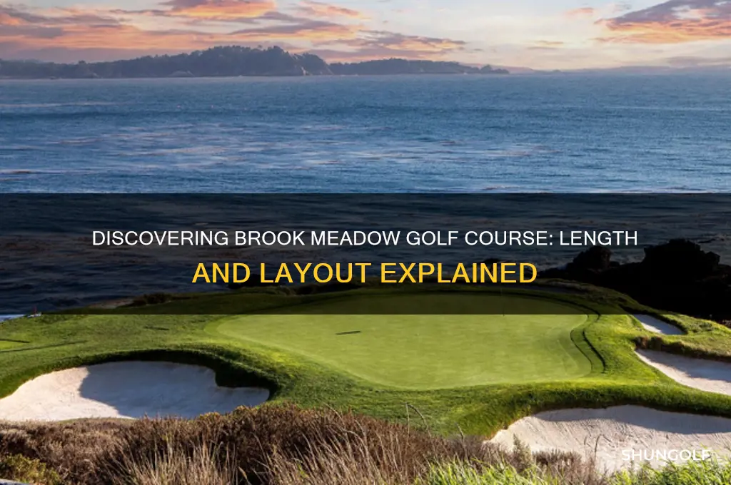 how long is brook meadow golf courser
