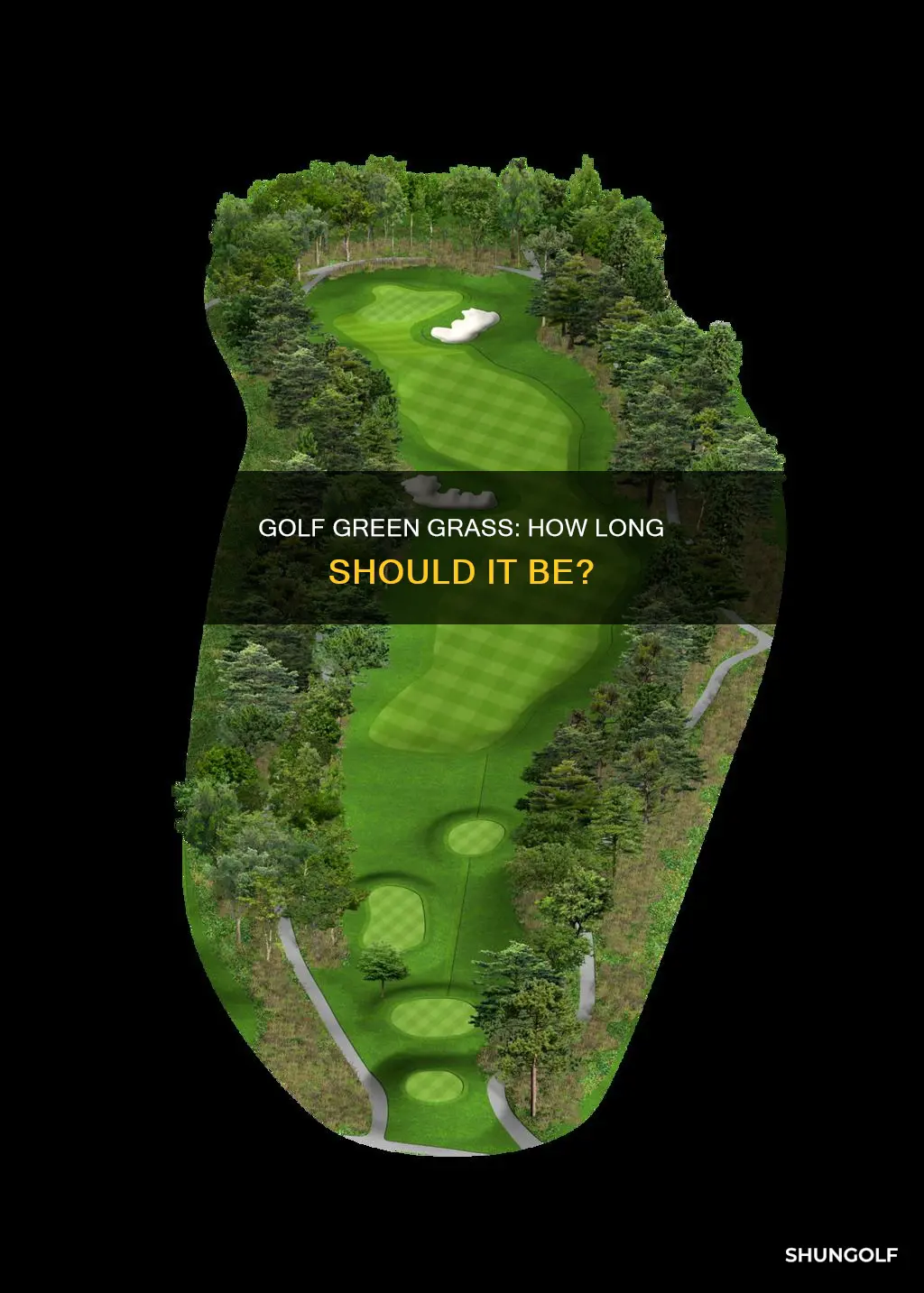 how long is golf green grass