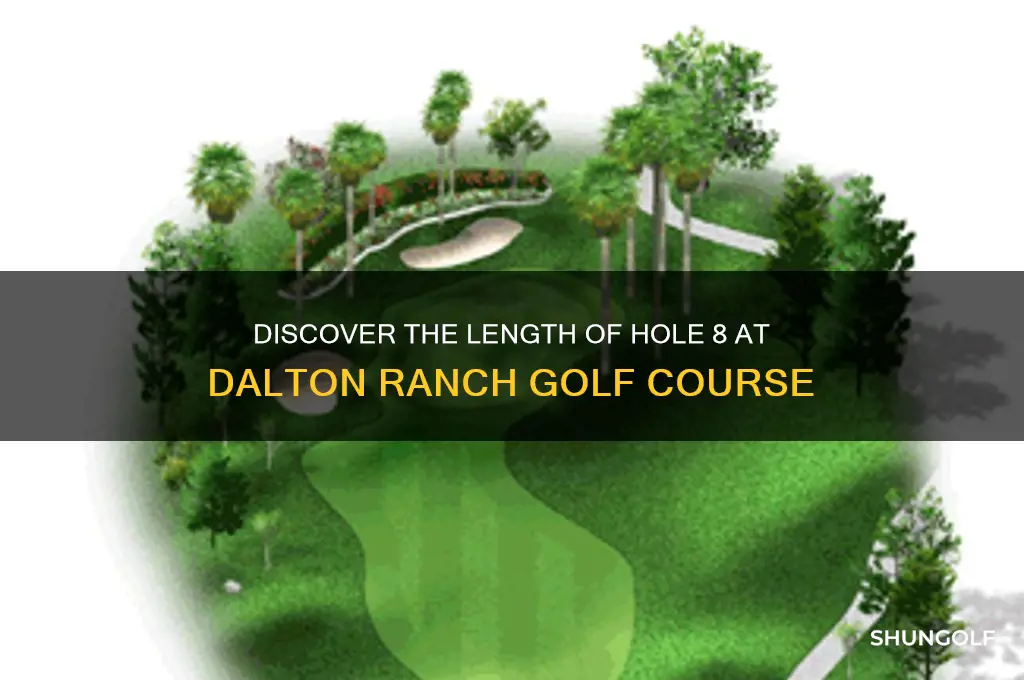 how long is hole 8 at dalton ranch golf course
