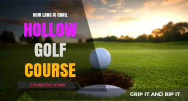 Exploring Quail Hollow Golf Course: Length, Layout, and Playing Experience