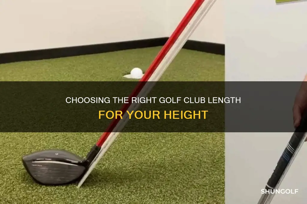 how long should a golf club be for your height