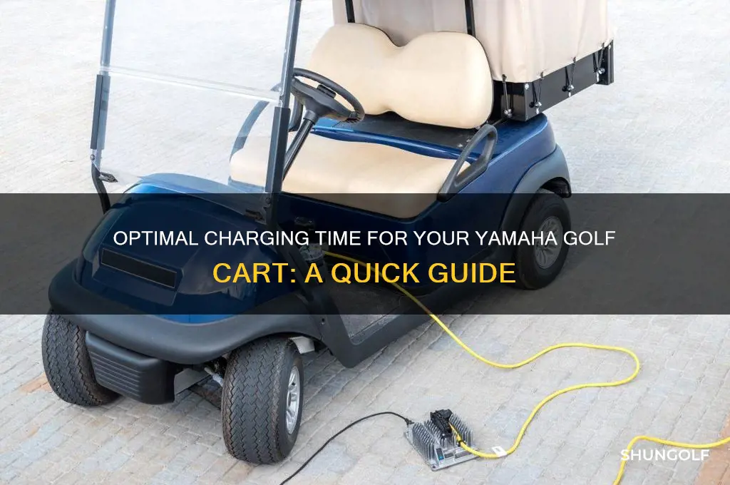 how long to charge a yamaha golf cart