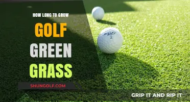 Growing Golf Green Grass: Timeframe and Tips for Perfect Turf
