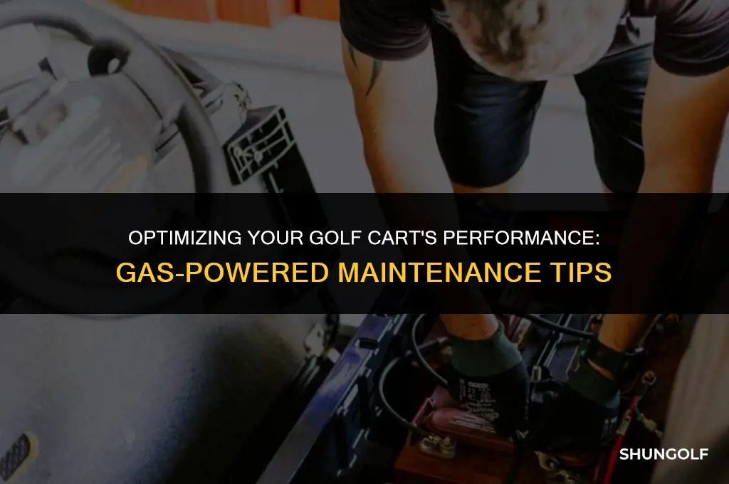 how long to run a gas golf car between starts