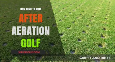 Post-Aeration Golf Recovery: Optimal Waiting Time for Improved Greens