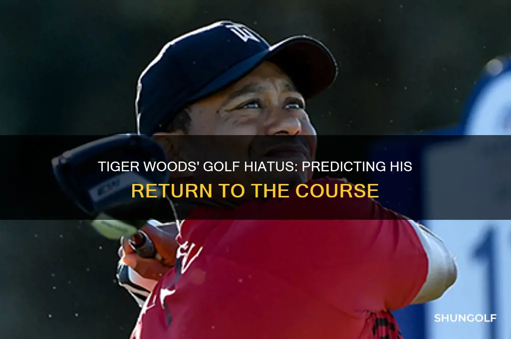 how long will tiger be out of golf