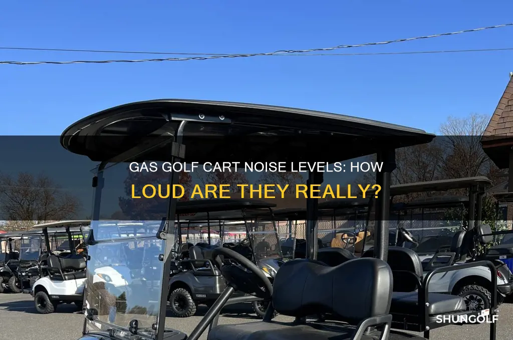 how loud are gas golf carts