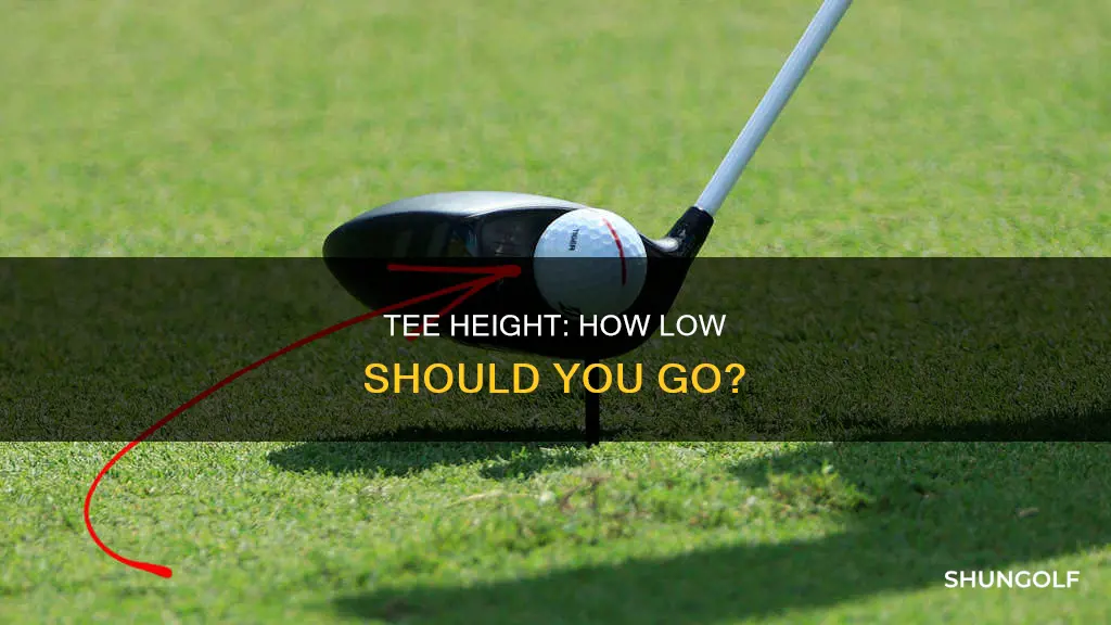 how low t set golf tees