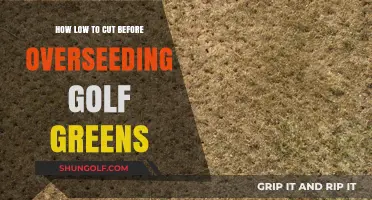 Optimal Mowing Height for Overseeding Golf Greens: Expert Tips