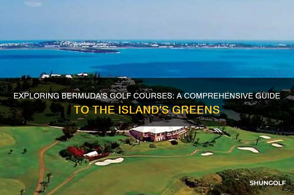 how man golf corses does bermuda have