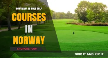 Exploring Norway's Golf Scene: The Number of 18-Hole Courses Revealed