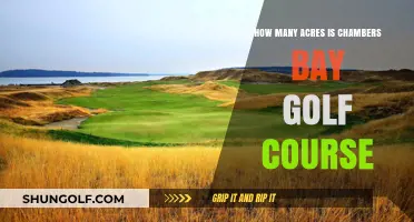 Exploring Chambers Bay Golf Course: Acreage and Layout Revealed