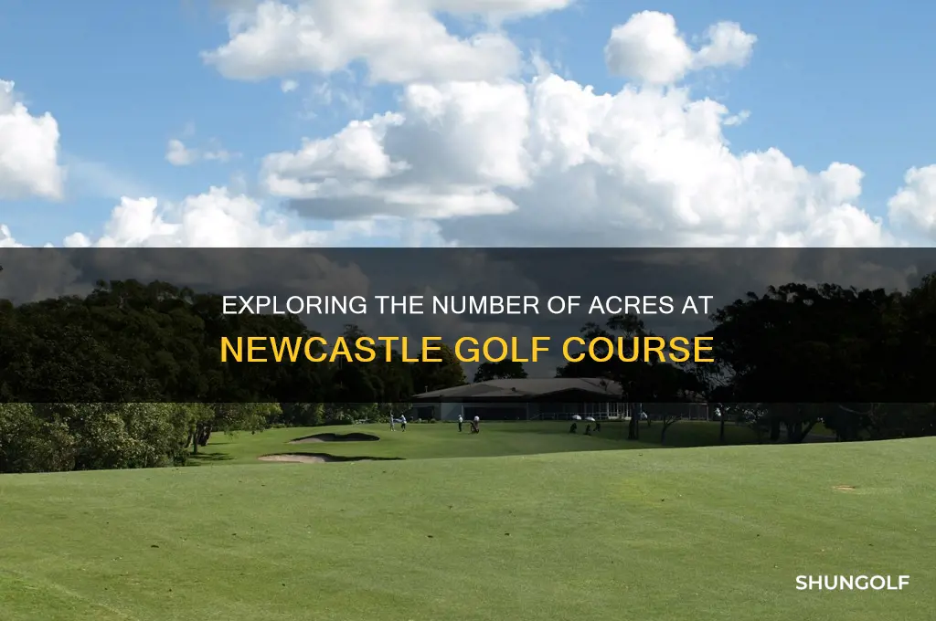 how many actrs is the nrecastle golf course