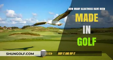 Albatross Achievements: Tracking Rare Double Eagles in Golf History