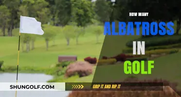 Golf's Rare Feat: Holing Albatrosses