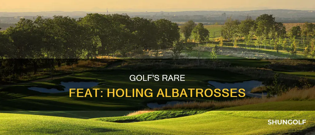 how many albatross in golf