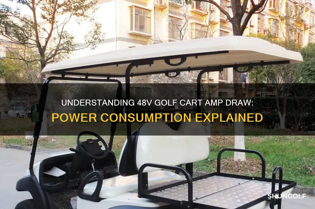 how many amps does a 48v golf cart draw