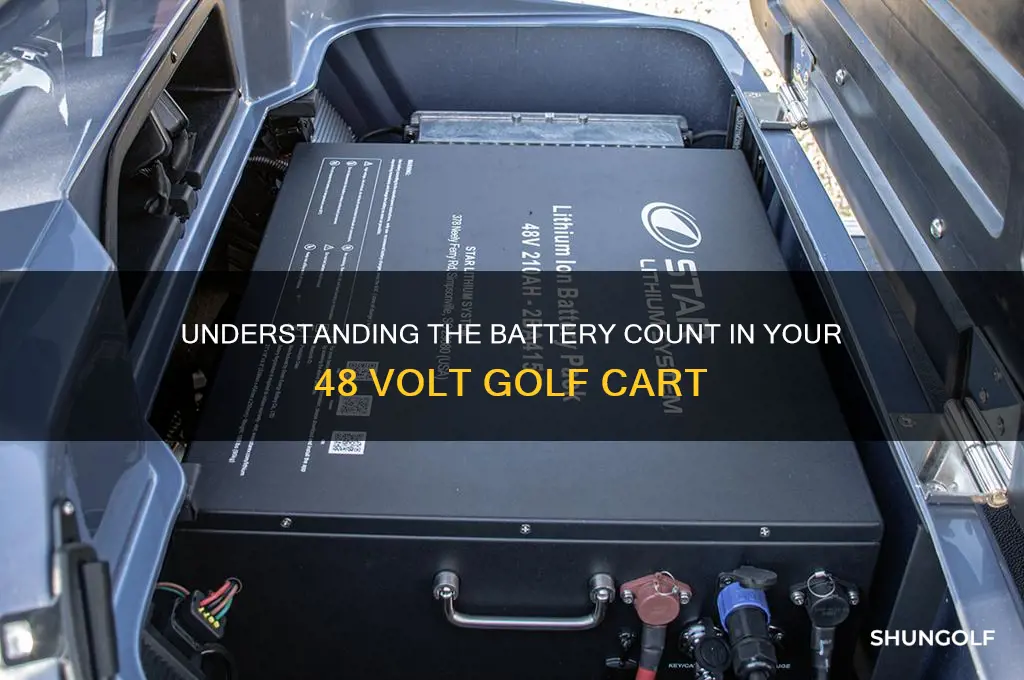 how many batteries does a 48 volt golf cart have
