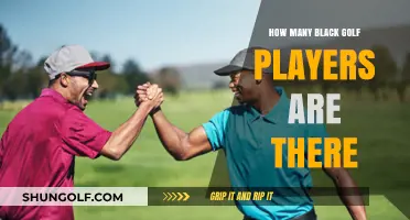Exploring Diversity: The Representation of Black Golfers in the Sport