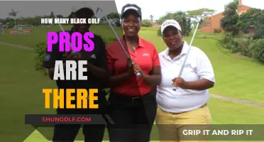 Exploring Diversity: The Number of Black Golf Professionals Today